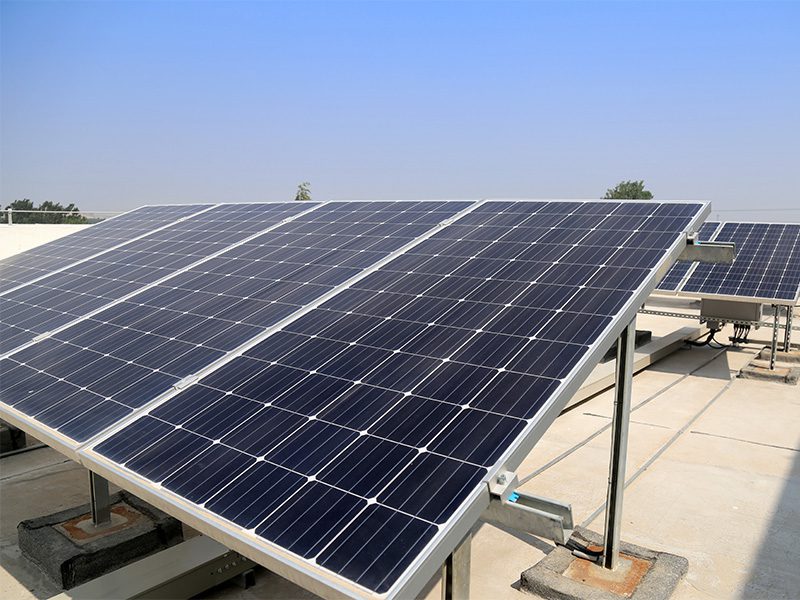 energia_rinnovabile_3_vitale_sud_srl